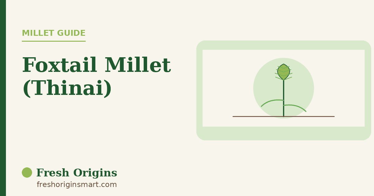 Foxtail Millet: The Everyday Grain Behind Our Millet Blends