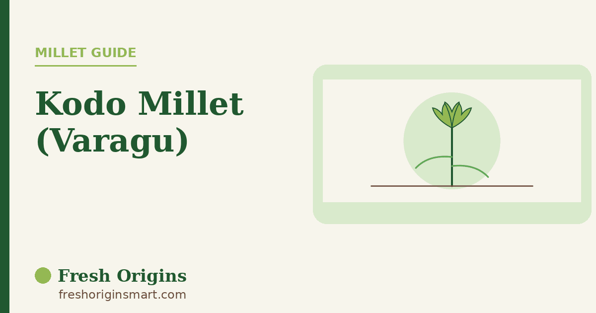 Kodo Millet: The High-Fibre Grain for Comforting Meals