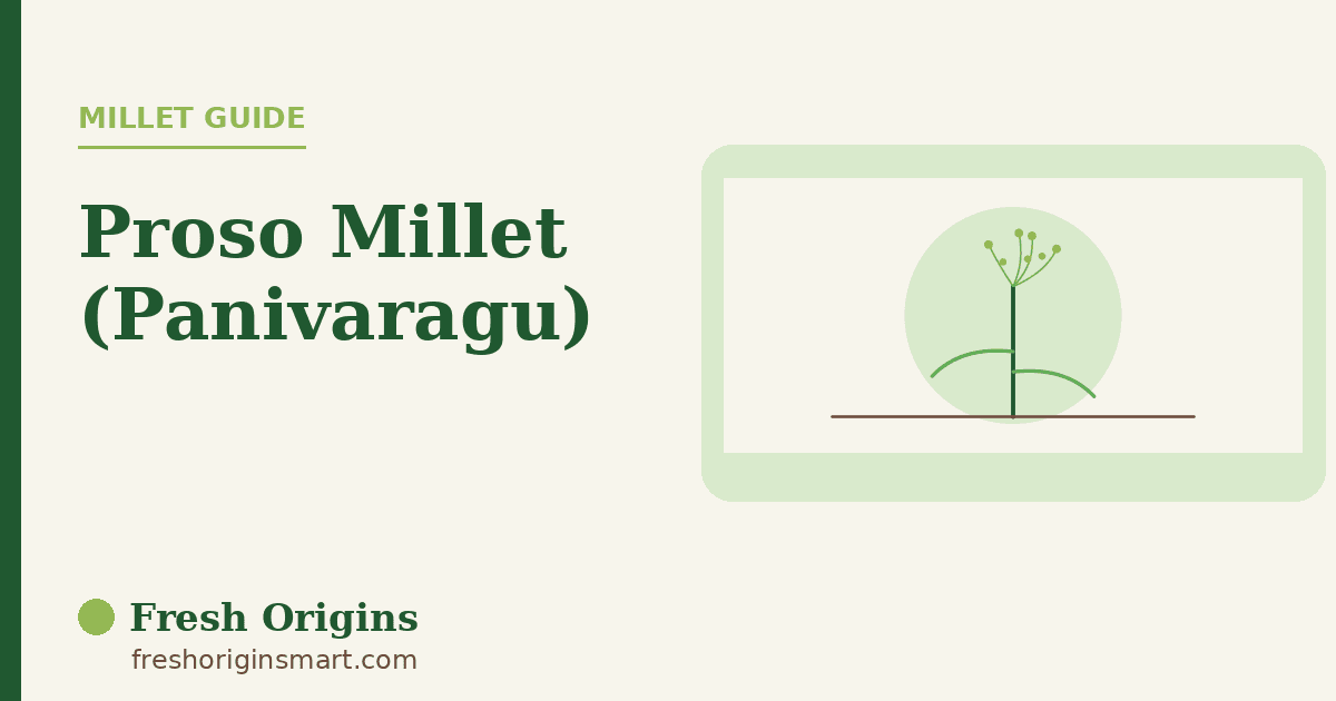 Proso Millet: A Quick-Cooking Grain with a Protein Edge